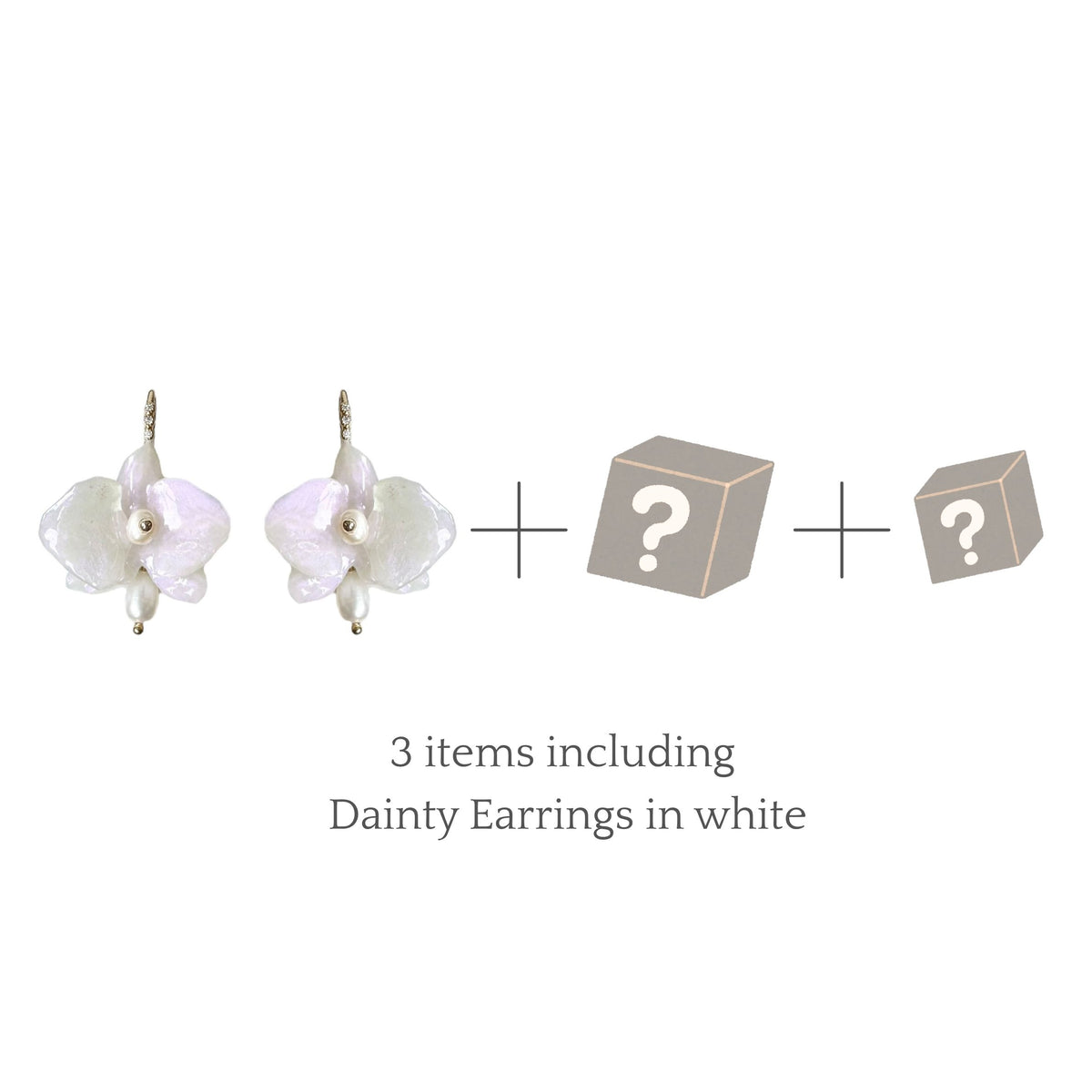 【Limited】Mystery Box — E