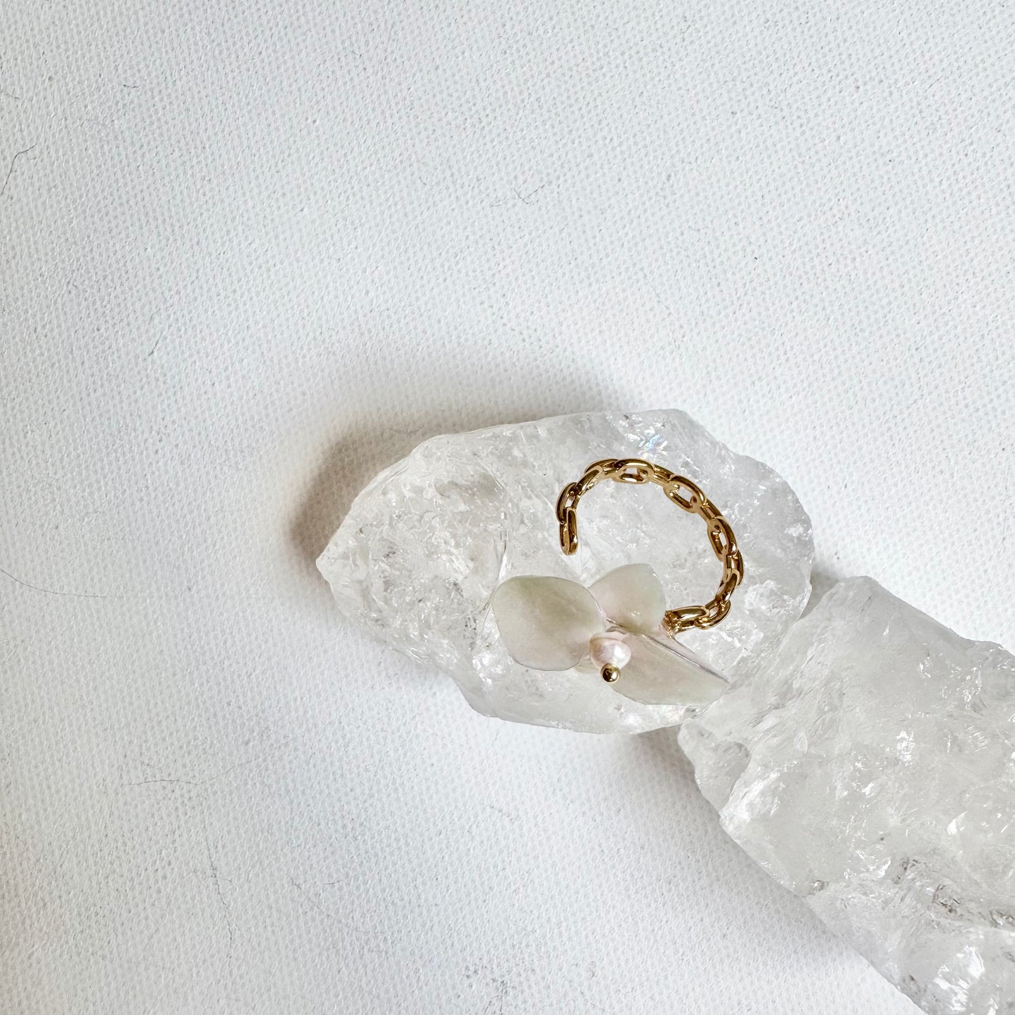 デンティー・オーキッド・リング 小さな胡蝶蘭  -パールホワイト-